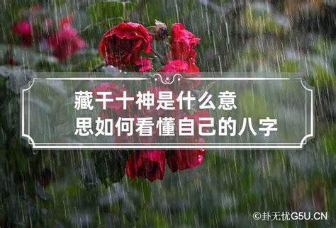 神煞意思|如何看懂自己的八字——神煞